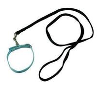 Blinky Guinzaglio per Cani Nylon con Cappio, 1.5 cm/Sez 150 cm