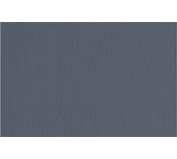 Cartoncino Elle Erre - 70x100cm - 220gr - ferro 122 - Fabriano - blister 10 fogli