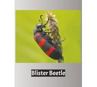 Blister Beetle Notebook with Facts: Insect Journal 8.5 x 11 Wide Ruled Notebook for School, Notes, Writing, Bug Lovers and Educational Gift