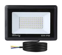 Blivrig 50W Faretto LED da esterno Bianco Freddo 6000K, 5000LM Faro LED Parete, Impermeabile IP66 Fari LED Luce Bianca Fredda Proiettore per Cortile Cantiere Giardino
