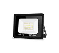 Blivrig Faretto Led Esterno, 30W Fari Esterno, 3000LM Fari Sicurezza Bianco Freddo 6000K, Lampada Luce Potente, Faro Led Impermeabile IP66, Per Giardino, Garage, Patio, Strade