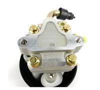 BLKCVDH Pompa del servosterzo compatibile con Chang AN Alsvin V3 V5 V7(V7)