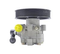 BLKCVDH Pompa servosterzo automatica compatibile con Changan Eado Geely Haoqing compatibile con Haval H8 H9 3407100 3407100FA080 34071000G0B