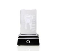 Blmirror Modello in di Dente Umano, Modello Anatomico al, Odontoiatria Orale Incisa per La Decorazione 'Ufficio, Regali per Dentisti