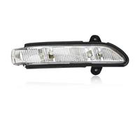 BLNETU Per Mercedes Per Benz W211 W221 W216 W219 E320 E350 E550 E63 2007-2011 Specchietto Retrovisore Laterale Indicatore Di Direzione Lampada Ripetitore (Only right)