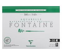 Bloc Fontaine Grain Torchon 31x41cm 10 feuilles Collé 1 côté 300g