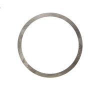 Bloccaggio albero principale cambio ZF 0730100846