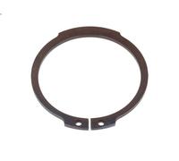 Bloccaggio albero principale cambio ZF 0730303182ZF