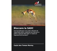 Bloccare la SADC: Quali giustificazioni sono state utilizzate dai responsabili politici sudafricani per bloccare la politica regionale della SADC in materia di migrazione dei lavoratori?