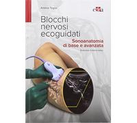 Blocchi nervosi ecoguidati. Sonoanatomia di base avanzata