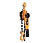Blocco A Catena Con Leva A Cricchetto E300 S2U 1,5 Ton 1,5 Mtr