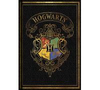 Blocco A5 Harry Potter colorato nero