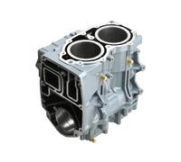Blocco cilindri del basamento del motore della barca adatto for 2 tempi E40X 40HP 66T-15100-02-1S 66T-15100