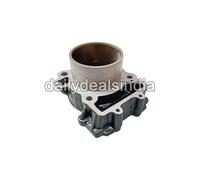 Blocco Cilindro Con Assemblaggio Pistone Adatto Per KTM DUKE 390 (2015-2019)