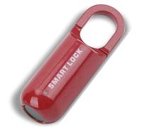 Blocco delle Impronte Digitali, Lucchetto Senza Chiave Ricaricabile USB, Serrature Elettroniche Intelligenti con capacità di Impronte Digitali di 10 Pezzi, Sicurezza Antifurto (Rosso)