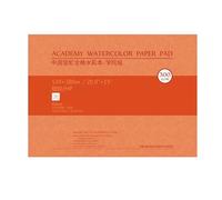 Blocco di carta per acquerello in cotone da 300 g, 20 fogli senza acidi, multiuso, album per schizzi per pittura ad acquerello, per artisti, carta artistica in cotone