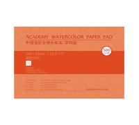 Blocco di carta per acquerello in cotone da 300 g, 20 fogli senza acidi, multiuso, album per schizzi per pittura ad acquerello, per artisti, carta artistica in cotone