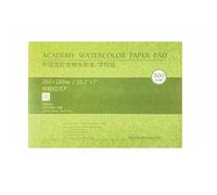 Blocco di carta per acquerello in cotone da 300 g, 20 fogli senza acidi, multiuso, album per schizzi per pittura ad acquerello, per artisti, carta artistica in cotone