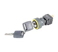 Blocco selettore interruttore di blocco a chiave SPDT ON/OFF 2 posizioni AC 250 V 0,5 A 16 mm Diametro di montaggio testa rotonda con 2 chiavi