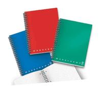 Blocco spiralato 100 fogli a 4 fori Pign 02000031R