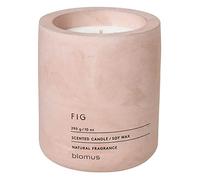 blomus -FRAGA- Candela profumata L in cera di soia, rosa Dust, caratteristico effetto calcestruzzo, fragranza FIG, durata 55 ore, particolarmente povera di fuliggine, 11 x 9 x 9 cm, rosa Dust, 65655)