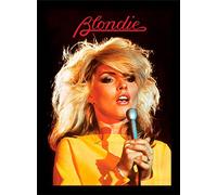 Blondie (Heart of Glass 30 x 40 cm Oggetto Souvenir