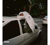 Blood Orange - Negro Swan