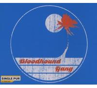 Bloodhound Gang - Screwing You on The Be
