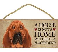 Bloodhound Legno Cane Firmare Muro Placca Foto Display 5 x 10 - a House Is Not A