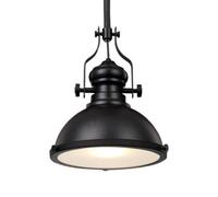 BLOOHK Lampada a sospensione in stile industriale, lampada a sospensione con paralume a cupola in metallo nero opaco vintage, lampada da soffitto for isola da cucina da 12,2 pollici