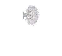 Bloom CW2 Applique Cristallo