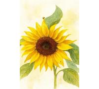 Bloom Where You’re Planted: A Daily Journal to Grow Positivity and Gratitude