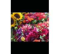 Bloom With Purpose Journal