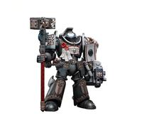 Bloomage Joytoy Tech - Joytoy Warhammer 40,000 Grey Knights Terminator Caddon Vibova 1/18 Figura (Neto)