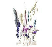 BloomPost Bloom & Clay Blue - Regalo Set originale via Cassetta postale - Ispirato dalla natura