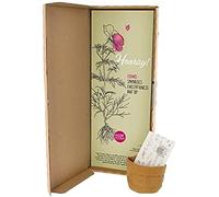 BloomPost "Hooray!" - Sementi Fiore Cosmea - Regalo Set via cassetta della Lettere