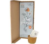 BloomPost "You are golden" - Sementi Fiore Calendula - 250 gr - Compreso mini 'borsa in pelle' alla moda e tablet a terra - Con istruzioni per la semina