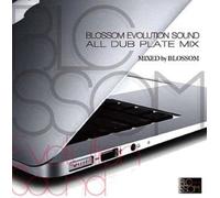 BLOSSOM EVOLUTION SOUND ALL DUB PLATE MIX