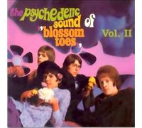 Blossom Toes - If Only For A Moment (UK Import)