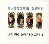 Blossom Toes - We Are Ever So Clean