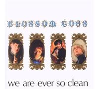 Blossom Toes - We Are Ever So Clean