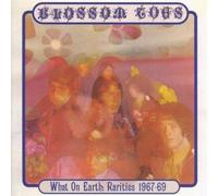 Blossom Toes - What On Earth - Cd