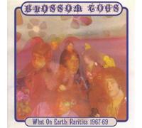 Blossom Toes - What On Earth: Demos & Outtakes 1967-69