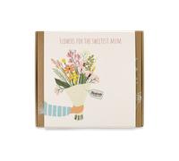 Blossombs Bombe di semi - Set regalo medio