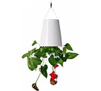 BLOSSOMLIFE Vaso da fiori capovolto per piante da appendere, con cielo invertito, vaso da fiori da appendere, cestino da giardino (bianco)