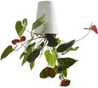 BLOSSOMLIFE Vaso per fiori capovolto, per interni, balcone, giardino, decorazione per la casa, vaso da appendere a testa in giù (grande)