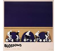 Blossoms - Cool Like You
