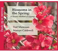 Blossoms in the Spring: A Perfect Method of Qigong DVD