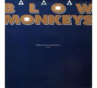 Blow Monkeys - Blow Monkeys Some Kind Of Wonderful 12" RCA MONKT 7 EX/EX 1987 12 inch