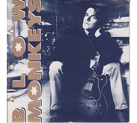 Blow Monkeys - Some Kind Of Wonderful